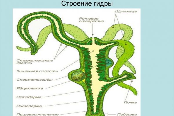 Kraken darknet зеркала кракен обход