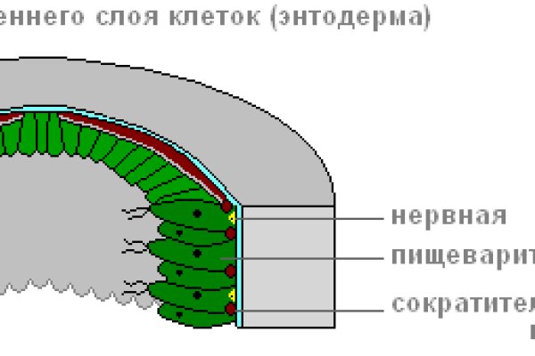 Кракен 9ат